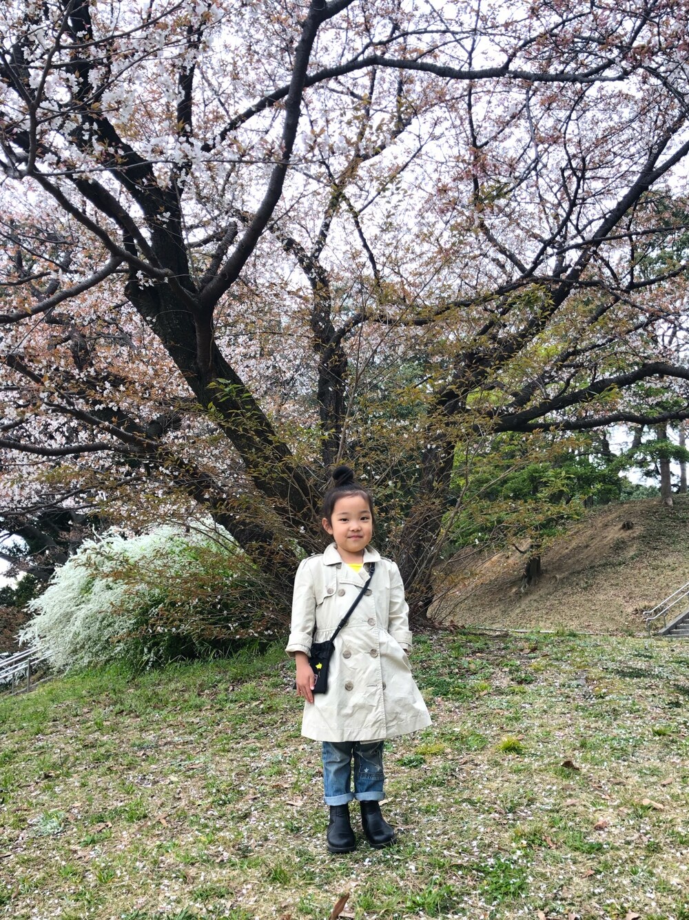 「カジュアルコーデ、kids、女の子コーデ、桜、トレンチコート、GAP」｜「GAPのアイテム（トレンチコート、ベージュ系）」を使った、IROHAさん（キッズ・138cm）の春コーディネートの1枚目の写真