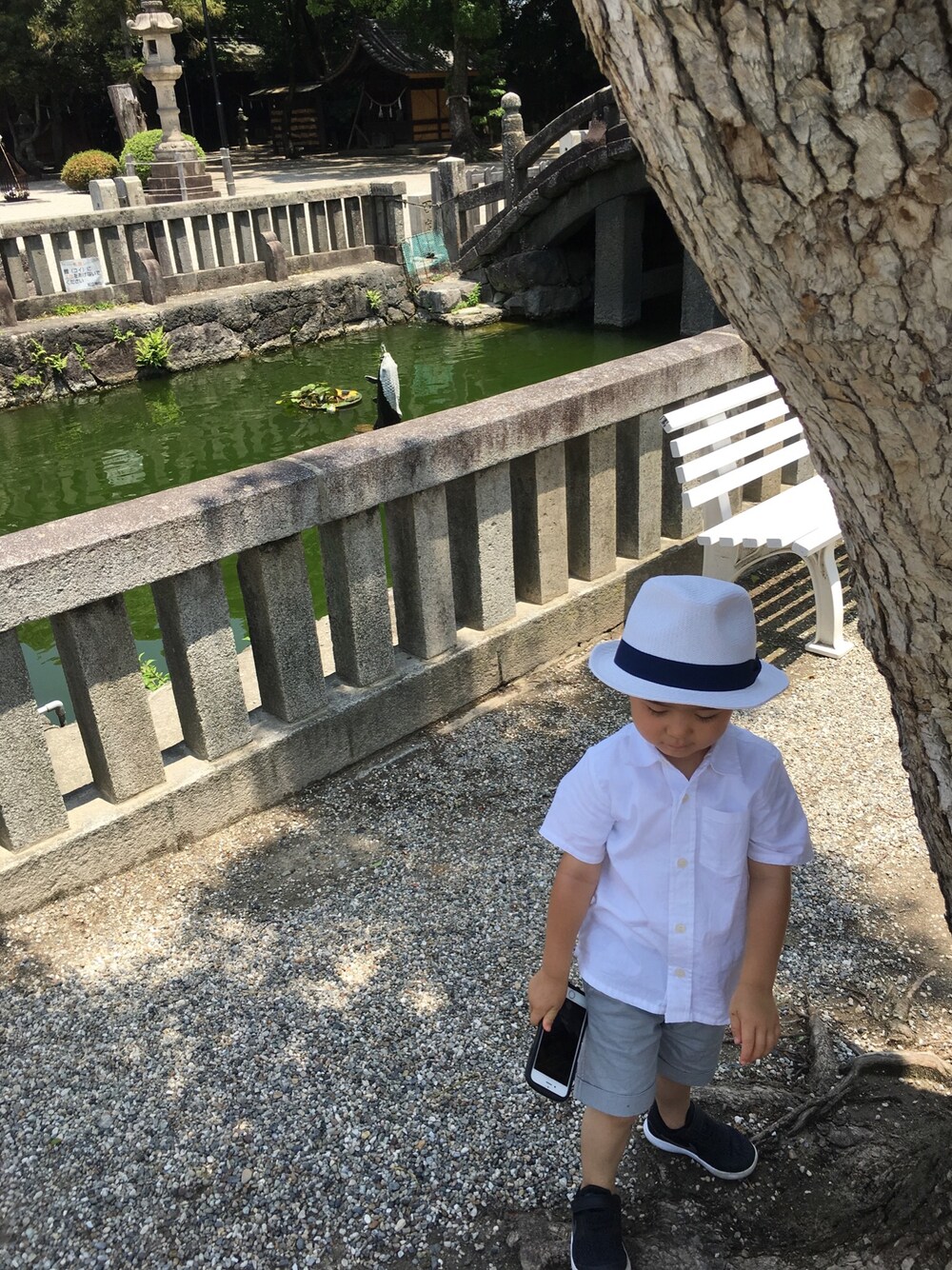 「お宮参り、男の子コーデ、シンプル、おとこのこ、4歳、ハーフパンツ、ナイキ、西松屋、プチマイン、夏のお宮参り」｜「petit mainのベーシック半袖シャツ（シャツ/ブラウス、ホワイト系）」を使った、やまさん（キッズ・100cm）の夏コーディネートの1枚目の写真