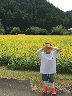 やまさんのコーディネート