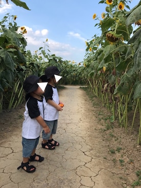 「ひまわり」｜「アイテム（その他）」を使った、ぽん‪‪☺︎‬さん（キッズ・90cm）の夏コーディネート