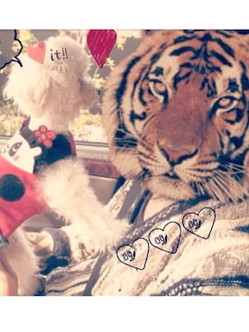 ゆやさんのコーディネート