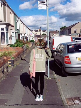 不想巡山的大王さんのコーディネート