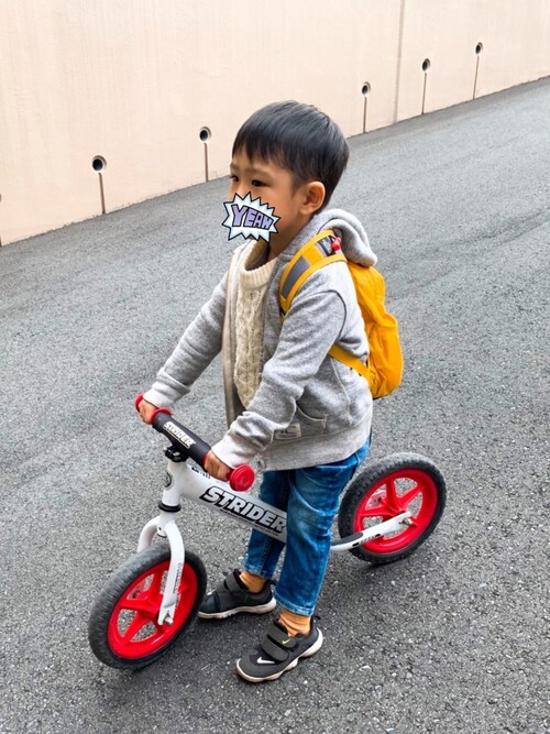 half dome the north face
