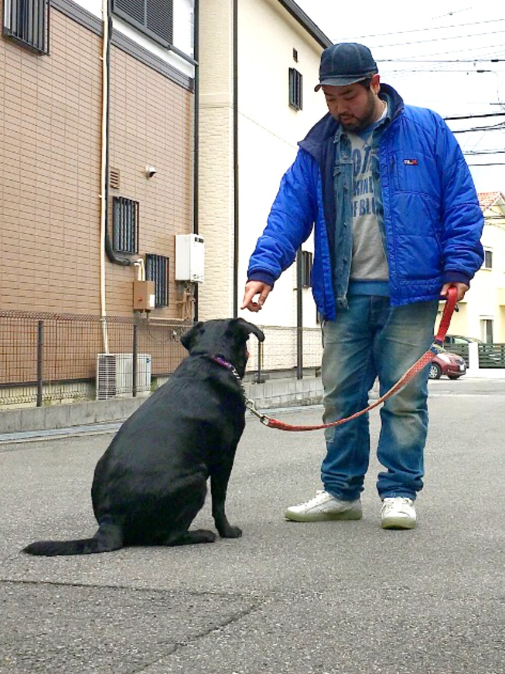「Mr.Babe、ポチャメン、ポチャイリスタ、ポチャイリッシュ、犬コーデ、散歩コーデ、ラブラドールレトリバー、デブでもオシャレ、髭野郎コーデ、ブルー」｜「PUMAのアイテム（スニーカー、グレー系）」を使った、Tomohiro.Yoshi1さん（メンズ・173cm）の冬コーディネートの1枚目の写真
