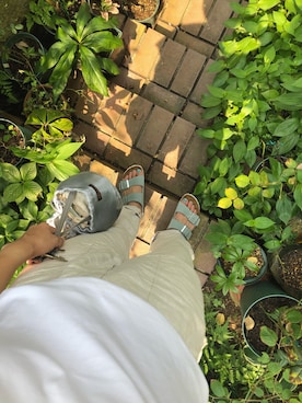 isaoさんのコーディネート