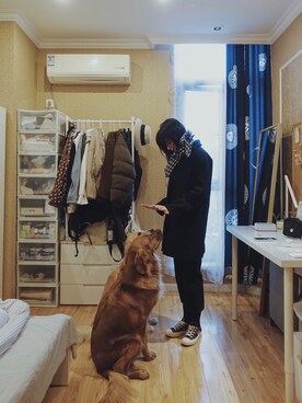 麻迷子さんのコーディネート