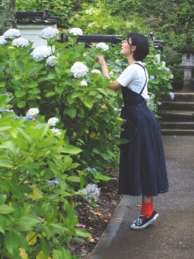 みやのさんさんのコーディネート