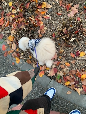 genさんのコーディネート