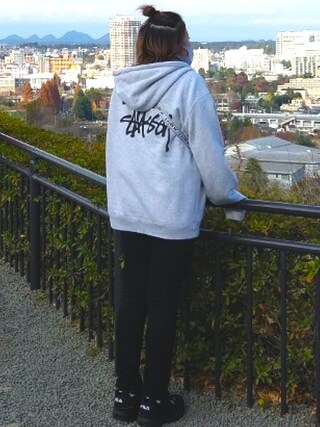 STUSSY（ステューシー）の「Basic Stussy Zip Hood（パーカー