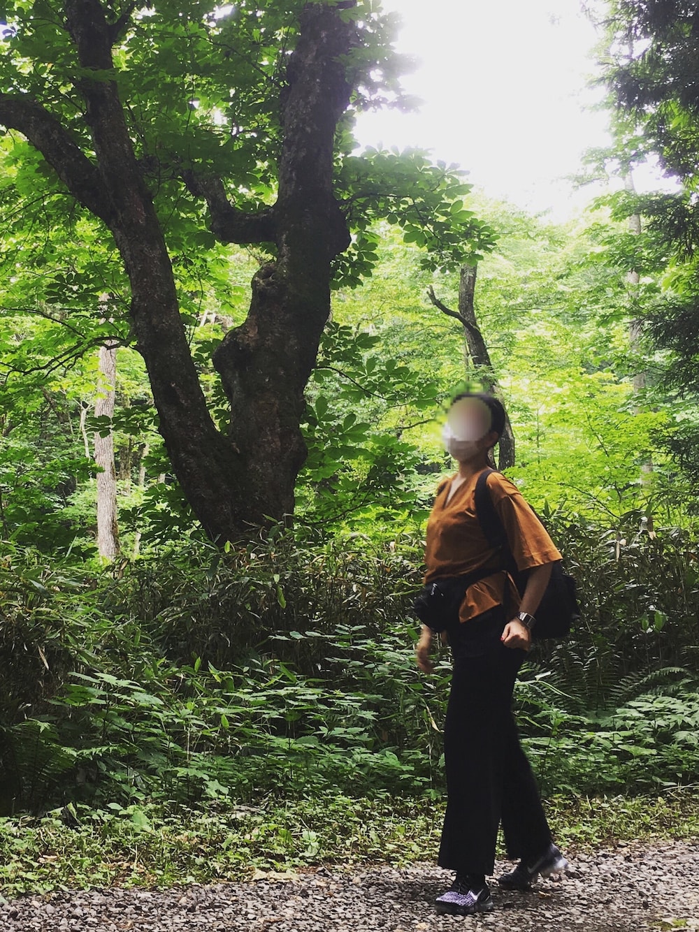 ブラウン系のTシャツ/カットソー、ブラック系のパンツ、ブラック系のスニーカーを着用したレディースの夏コーディネートの1枚目の写真