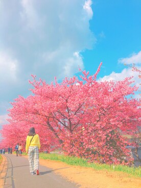 みさんのコーディネート