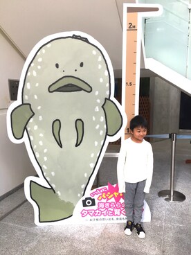 PECOさんのコーディネート