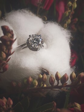 芋头呢さんのコーディネート