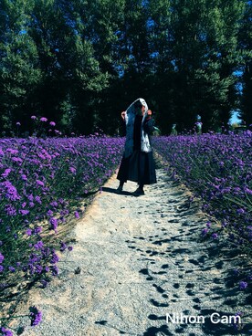 蛮zarさんのコーディネート