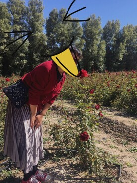 蛮zarさんのコーディネート