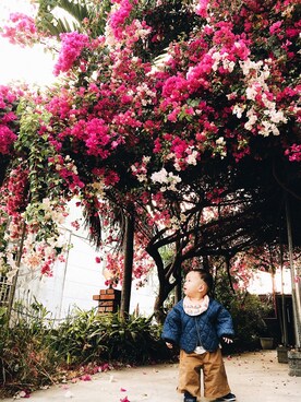 PuPuさんのコーディネート