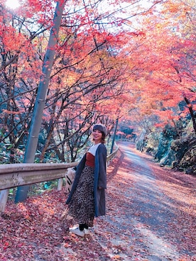 ぴよこさん（レディース・154cm）の秋コーディネート