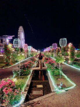 ひの(♥´꒳`*)(*´꒳`♥) さんのコーディネート