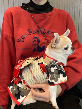 慊莫QMさんのコーディネート