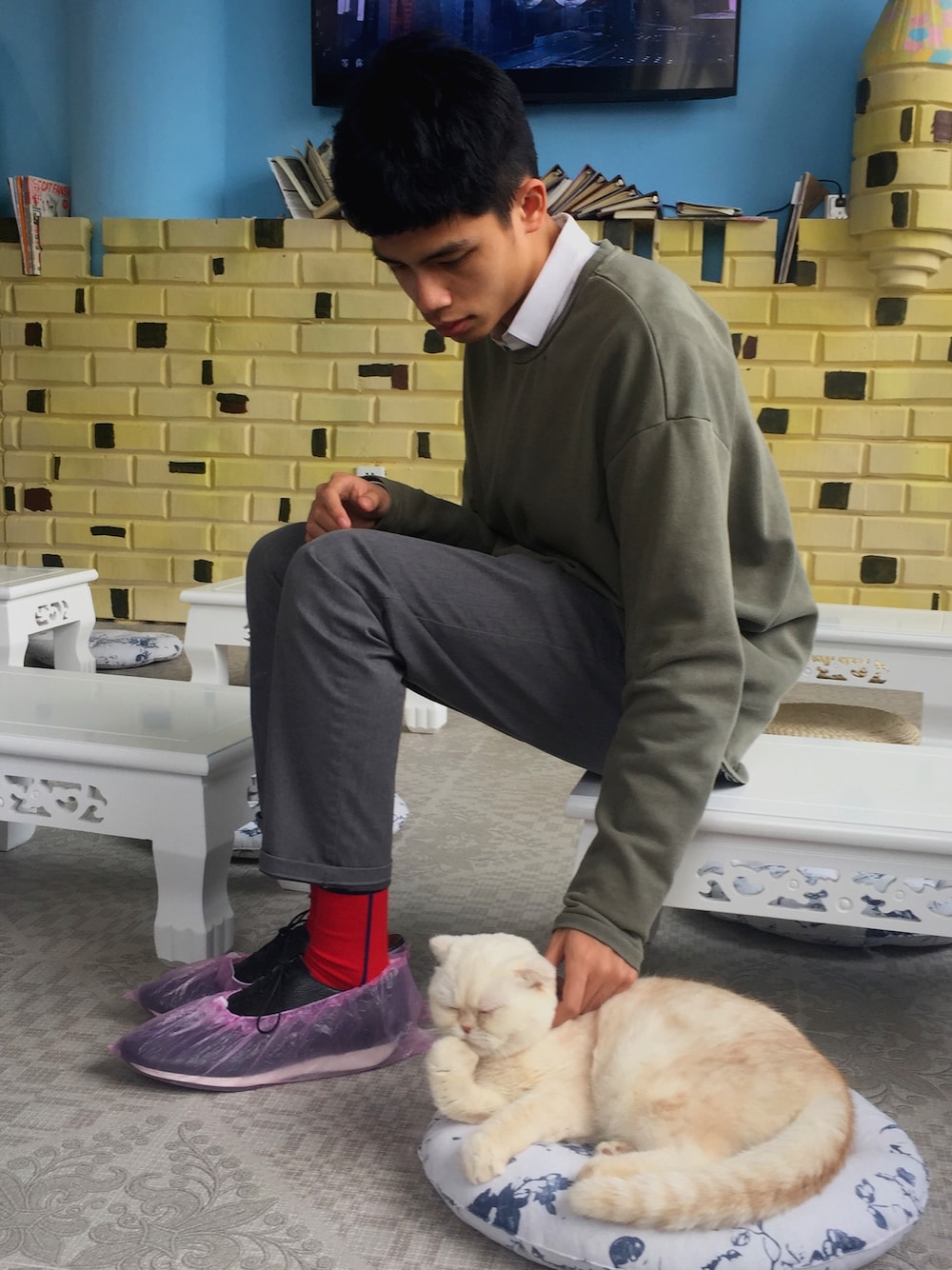 「ネコ」｜「ZARA MANのアイテム（その他トップス、グリーン系）」を使った、CWCJWさん（メンズ・173cm）の冬コーディネートの1枚目の写真