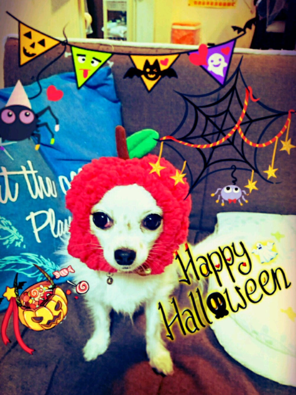「wearhalloween2017、りんご、仮装、着ぐるみ、愛犬、シンプルコーデ、低身長、もこもこ、秋コーデ、コスプレ」｜「3coinsのアイテム（その他ヘアアクセサリー、レッド系）」を使った、🌺はまゆう。さん（レディース・50cm）の秋コーディネートの1枚目の写真