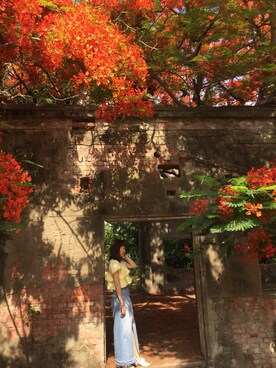 Mindy さんのコーディネート