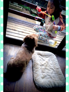 Rachel43さんのコーディネート