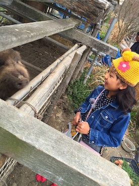 Rachel43さんのコーディネート