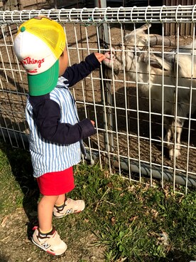 くんｸﾝさんのコーディネート