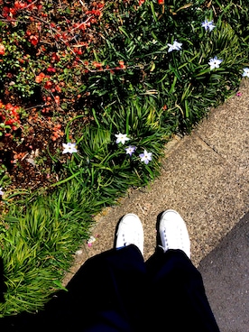 canaさん（レディース・160cm）の春コーディネート