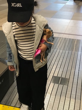 「BRANSHES（ブランシェス）のテレコボーダー長袖Tシャツ（Tシャツ/カットソー）」を使った、N★Mさん（キッズ・110cm）の春コーディネート