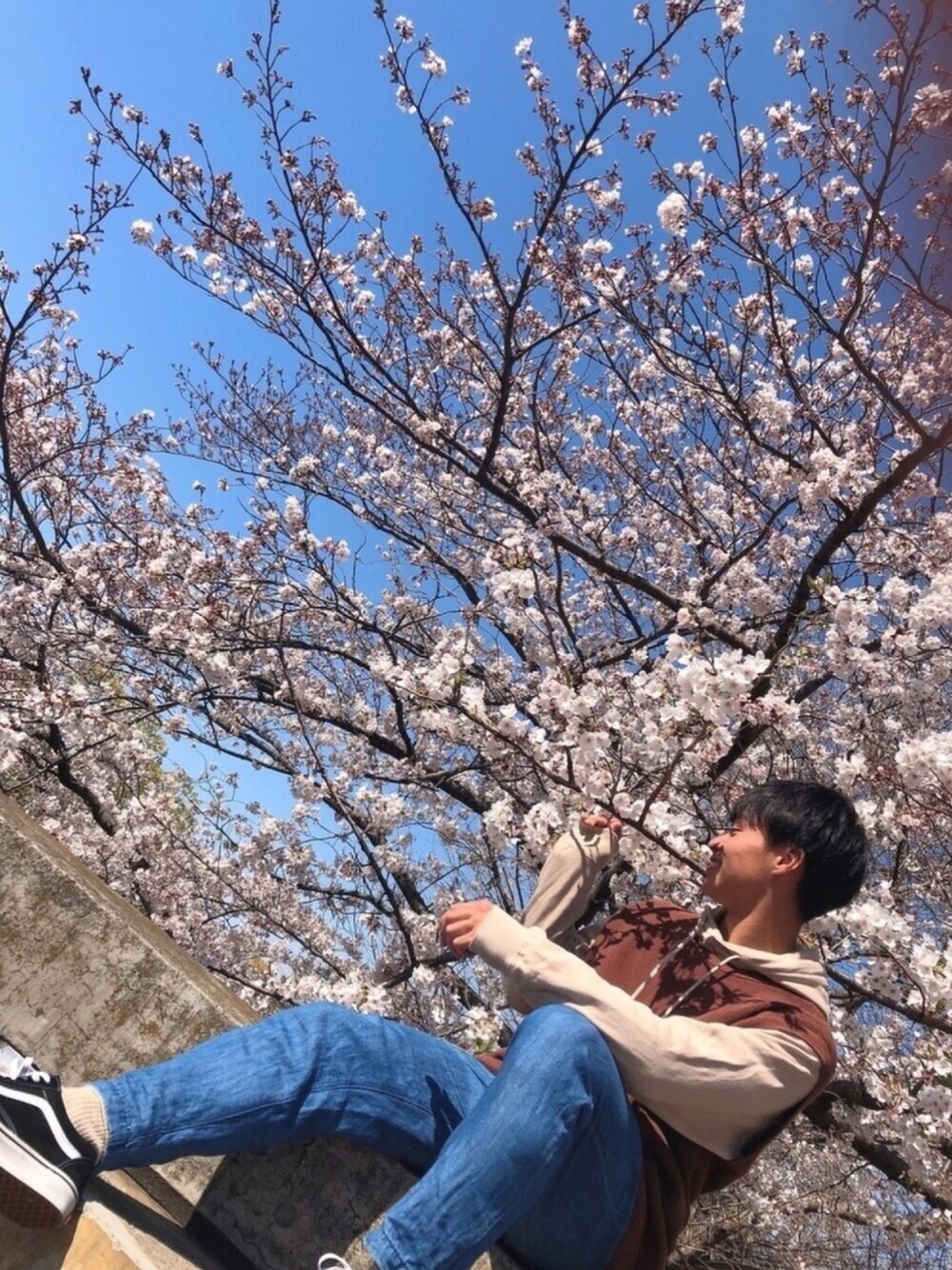 「春コーデ、ベージュ、ニットベスト、パーカー、イージーパンツ、ゆるコーデ、SENSEOFPLACE、WEGO、VANS、oldskool」｜「SENSE OF PLACE by URBAN RESEARCHのニットベスト（ニット/セーター、ブラウン系）」を使った、おすかさん（メンズ・168cm）の春コーディネートの1枚目の写真