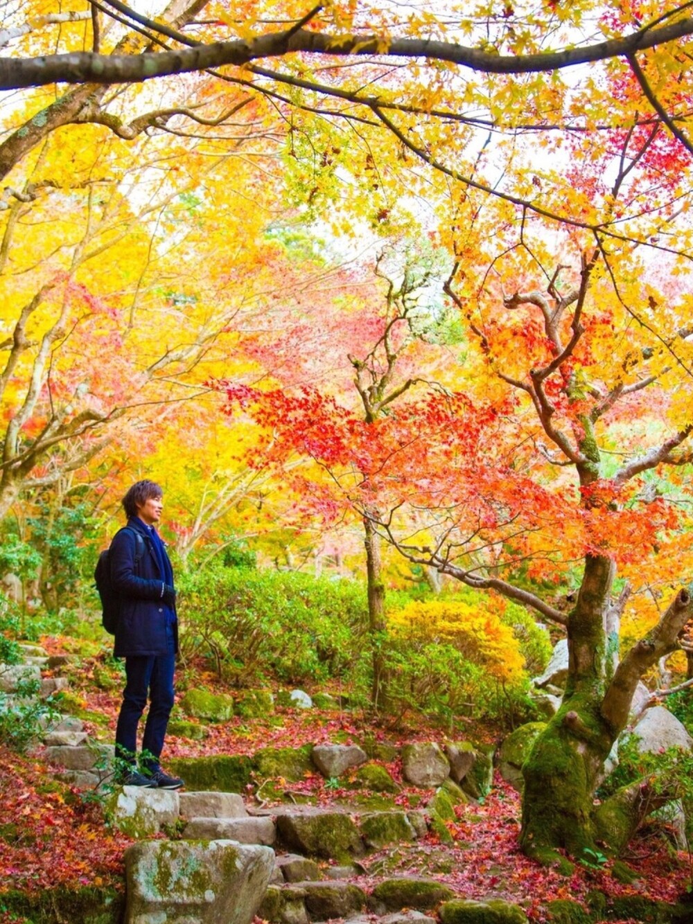 「紅葉、秋冬コーデ、きれいめカジュアル、シンプルコーデ、冬コーデ、スキニーデニム、チェックシャツ、チェスターコート、スニーカー、バックパック」｜「Paul SmithのDOUBLE FACE CASHMERE MUFFLER / 250428 CA（マフラー、ブルー系）」を使った、Ryu--taさん（メンズ・183cm）の秋コーディネートの1枚目の写真
