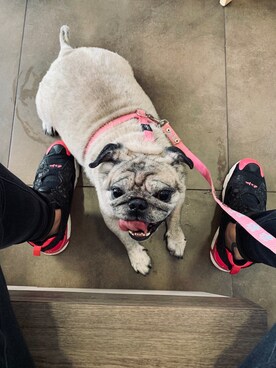 Rio.さんのコーディネート