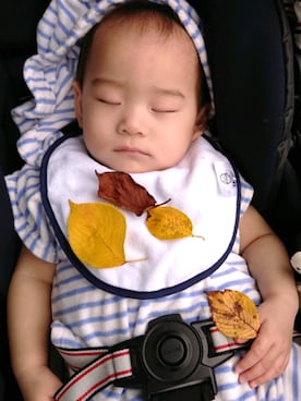 monapicaさんのコーディネート