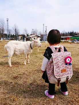 monapicaさんのコーディネート