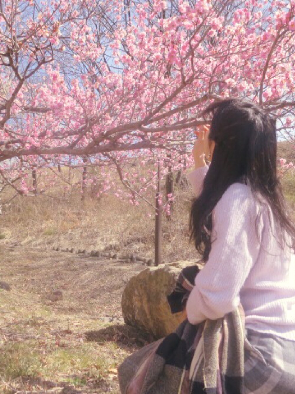 「JILL by JILL STUARTの【CanCam 11月号掲載】CHECK STOLE（ストール/ショール、ブラック系）」を使った、Hさん（レディース・163cm）の春コーディネートの1枚目の写真