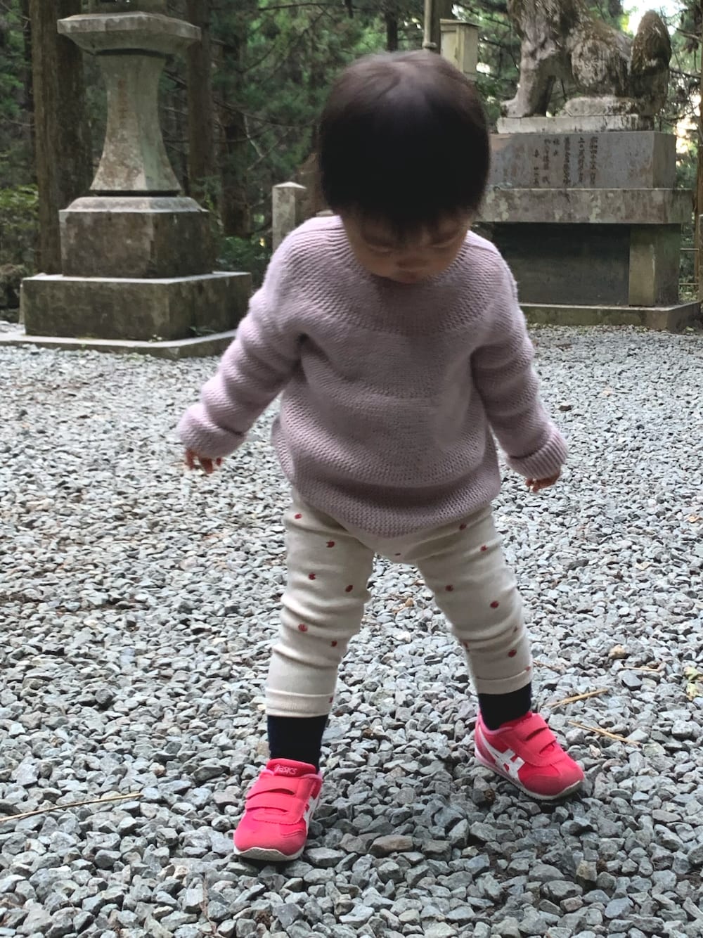 「娘コーデ、秋冬コーデ」｜「ZARA KIDSのアイテム（ニット/セーター、パープル系）」を使った、marinoさん（レディース・160cm）の秋コーディネートの1枚目の写真