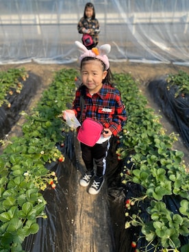 ゆささんのコーディネート