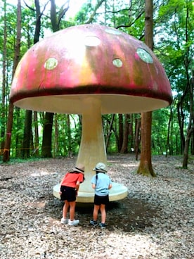 ゆささんのコーディネート