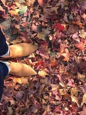 NaOmIさんのコーディネート