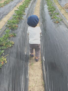 ぽにょさんのコーディネート