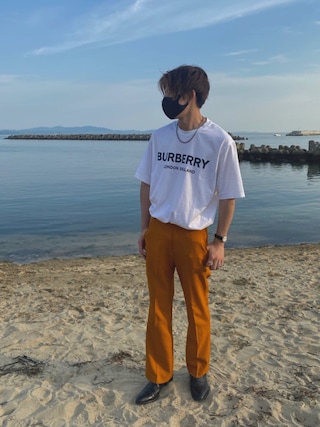 BURBERRY（バーバリー）の「BURBERRY LETCHFORD TAV PRINT バーバリー