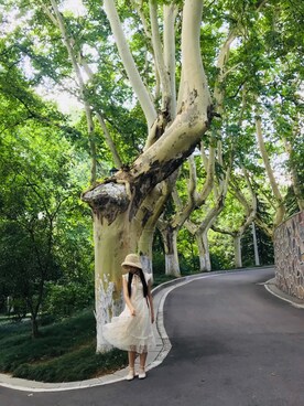 要乖要早睡要把学习放在第一位-さんのコーディネート