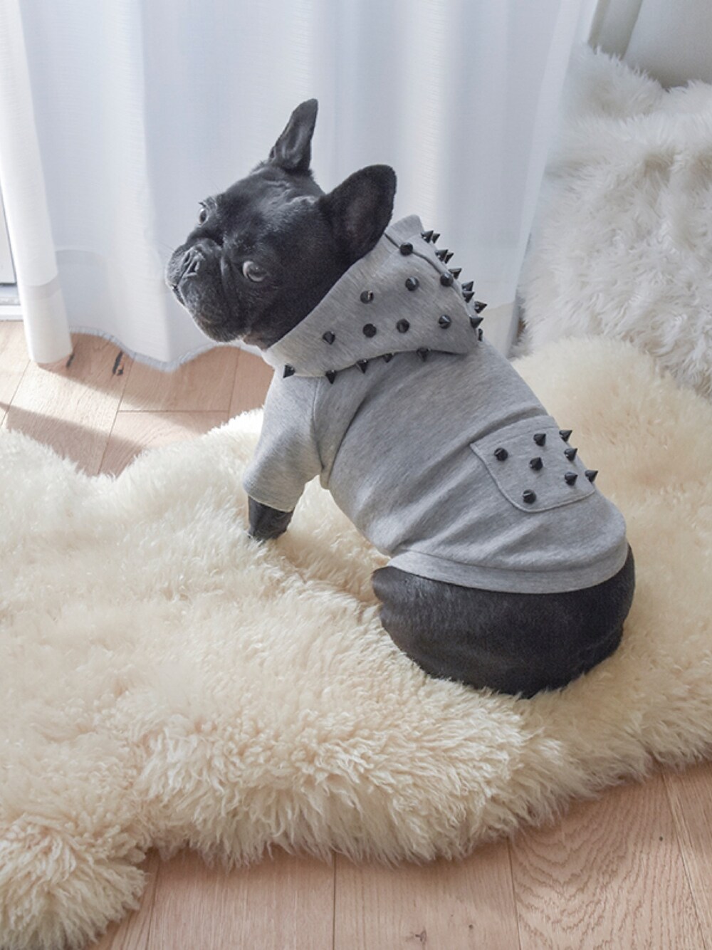 グレー系のペットウェアを着用したレディースの冬コーディネートの1枚目の写真