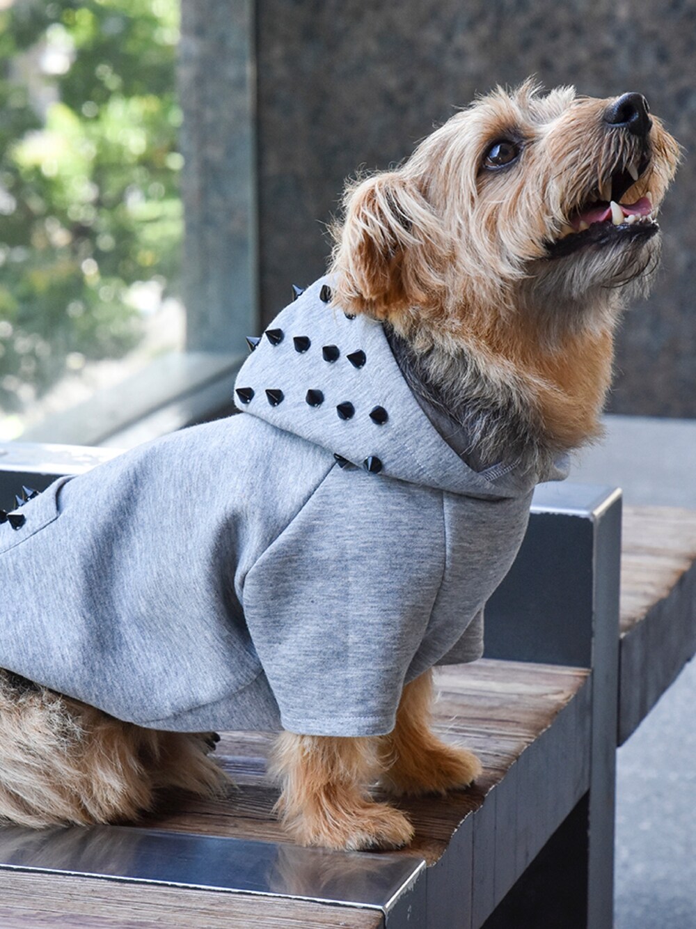 グレー系のペットウェアを着用したレディースの冬コーディネートの1枚目の写真