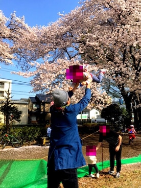 「花見」｜「アイテム（ステンカラーコート）」を使った、にじおさん（メンズ・180cm）の春コーディネート