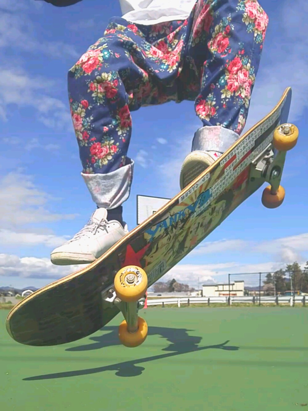 2010 Supreme SURFSTYLE スケートボード/コンプリートデッキ Z-FLEX