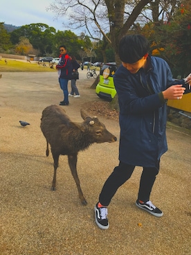 けいしょさんのコーディネート
