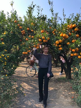 Miranda.Hさんのコーディネート